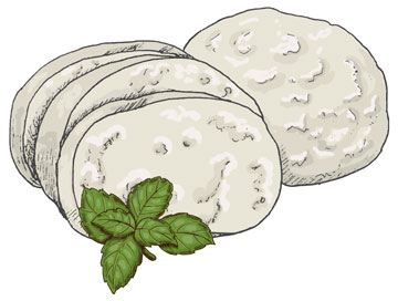 mozzarella