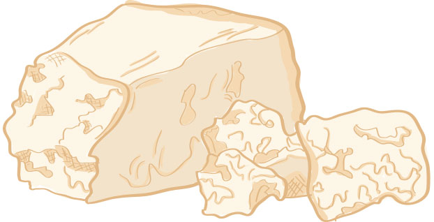 parmesan